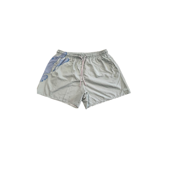 LaCosta Green Men’s swim shorts size large - Picture 1 of 6
